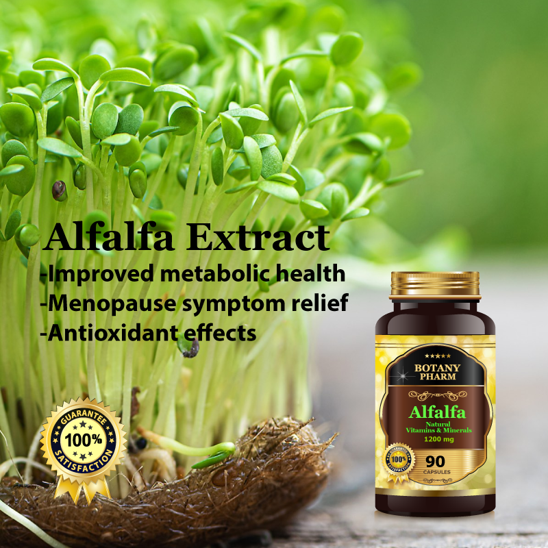 Alfalfa Extract