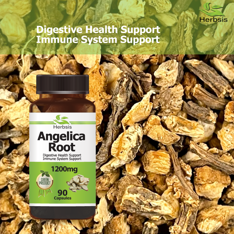 Angelica Root