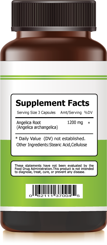 Angelica Root