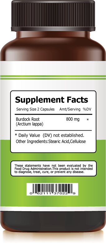 Burdock Root Extract