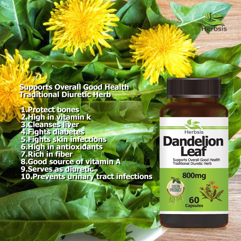 Dandelion Leaf