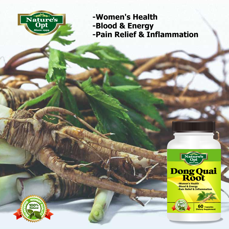 Dong Quai Root