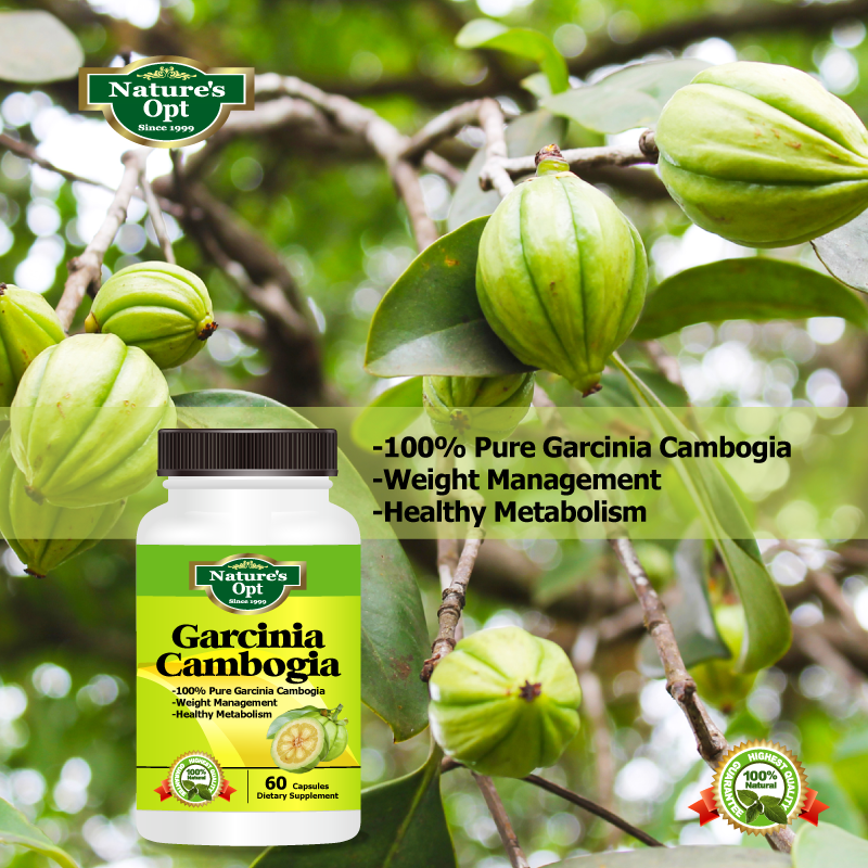 Garcinia Cambogia