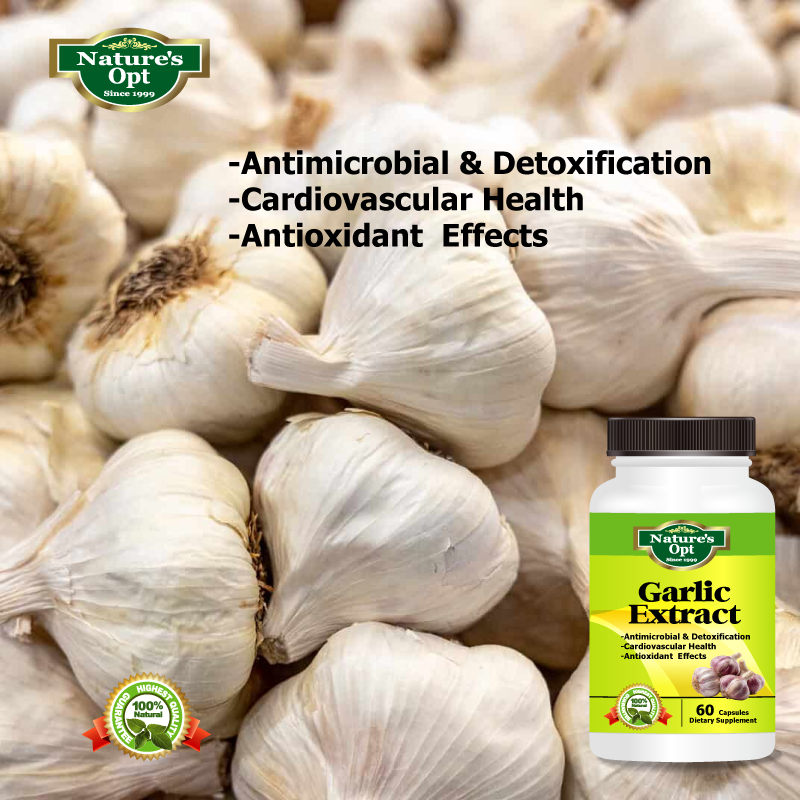 Garlic Extract