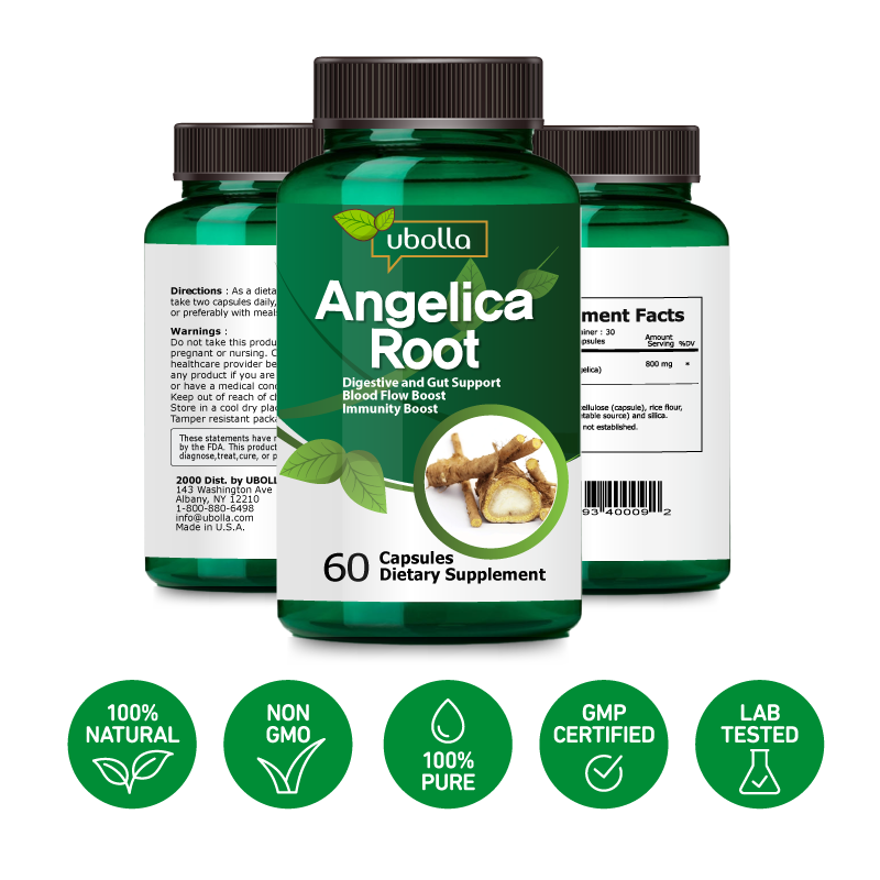 Angelica Root